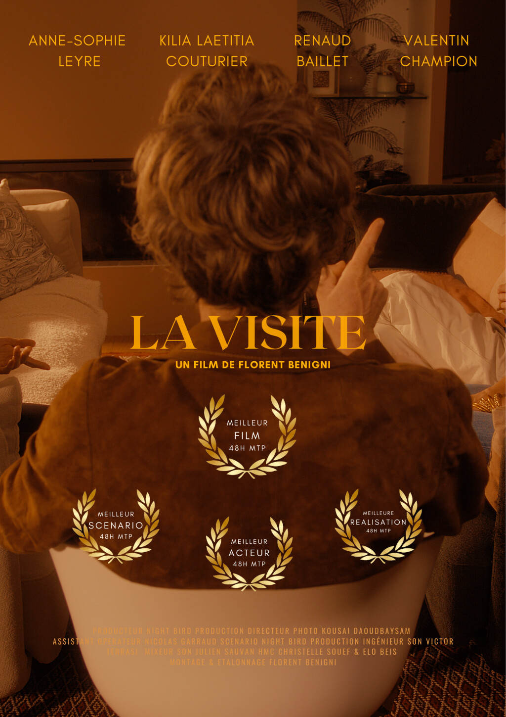 Filmposter for La visite